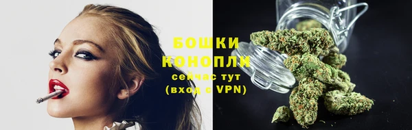 тгк Артём