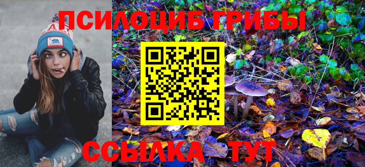 Псилоцибиновые грибы мухоморы  Псилоцибиновые грибы GOLDEN TEACHER  Вход с VPN  Копейск 